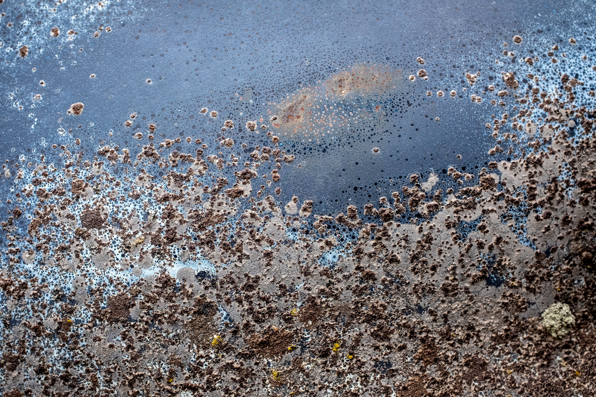 rust-image-wine-label